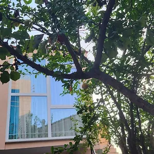 https://karanxhas-room.albaniahotels.org